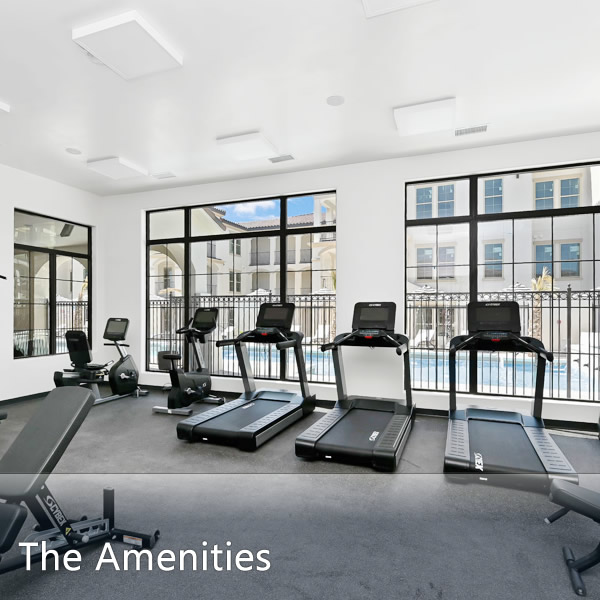 Features & Amenities